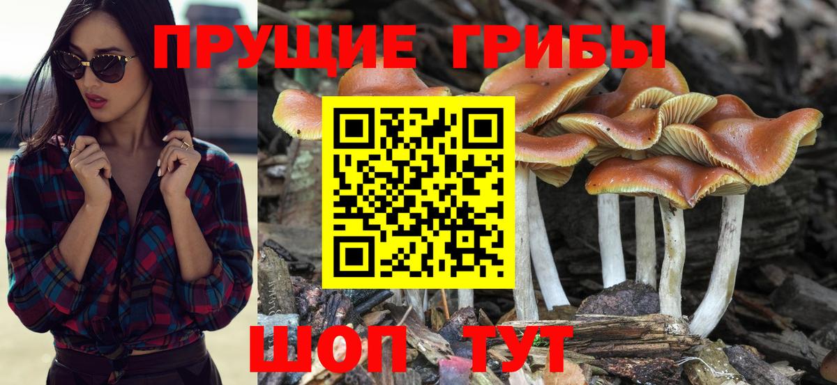 Псилоцибиновые грибы мухоморы Сибай