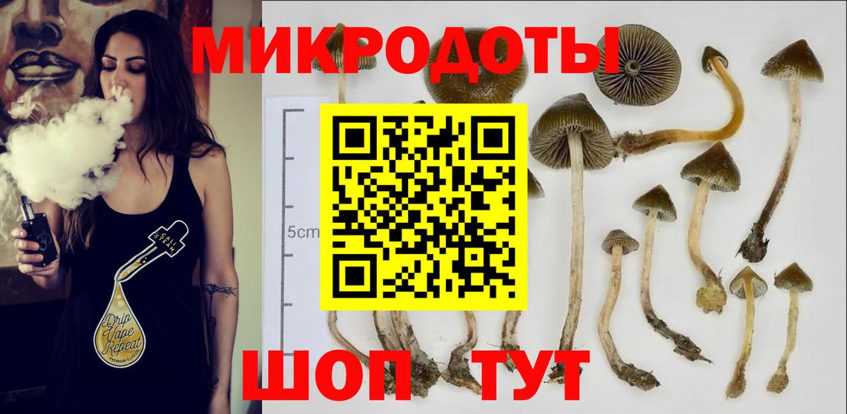 Сибай  Псилоцибиновые грибы мицелий  Вход с VPN 